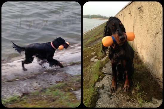 Zara a jej milovana voda