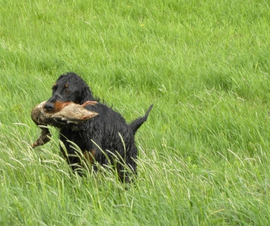 Zara a jej prva dohladavka kacice