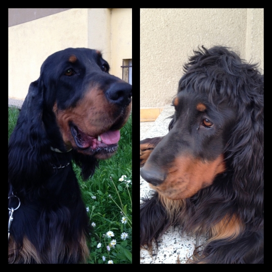 Zara po a pred strhaním