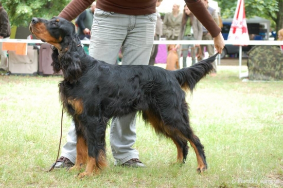 Zara v postoji na CVP Senec