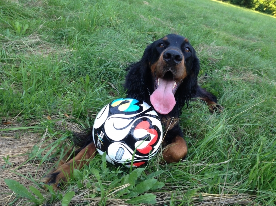 Trocha sportu nezaskodi