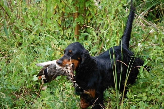 Zara na vodnych skuskach