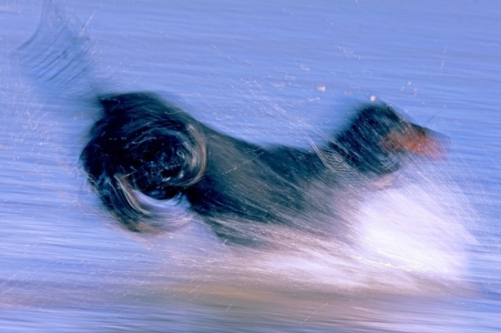 4x4 - 12V - nitro pohon