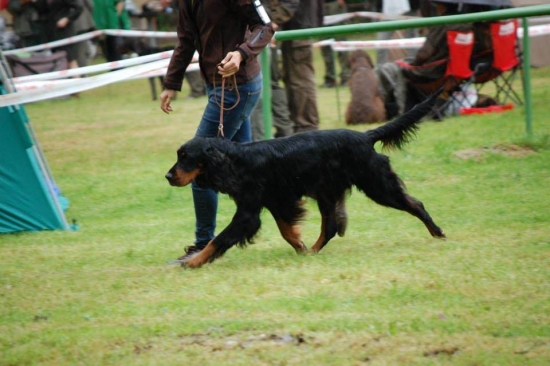 Klubová výstava SKPS Radošovce