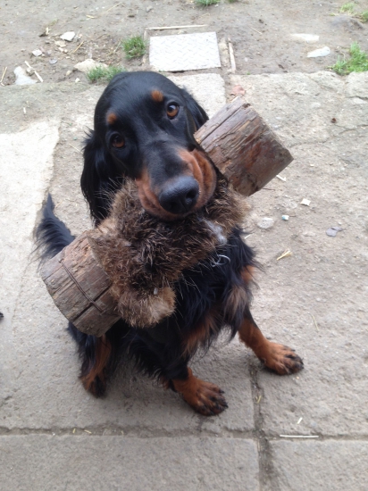 Aport na rodném dvorečku :)