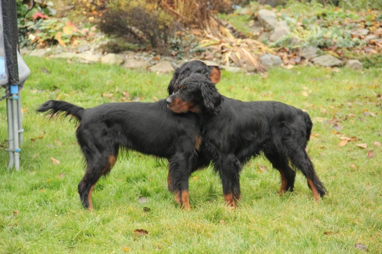 ♥ proste láska...