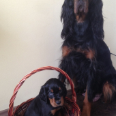 Zara (4 roky) a Lilly (5 týždňov)