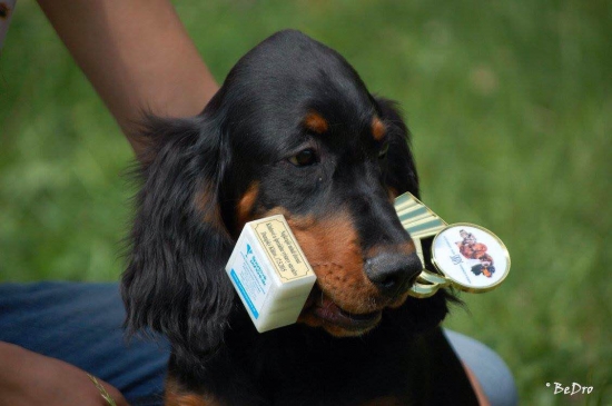 Prvá výstava pre Lilly (15 týždňov)