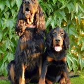 Zara a Lilly