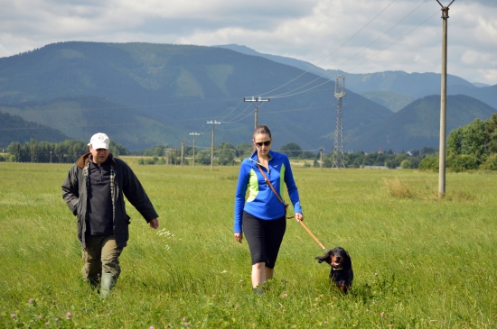 Po hľadaní pernatej