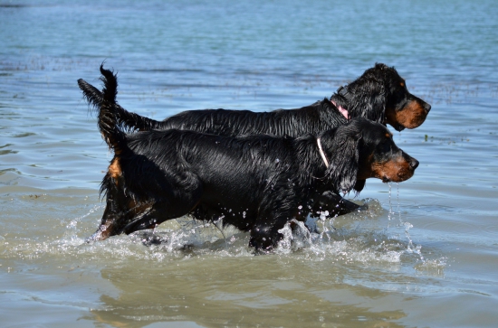 Mama s dcérou svorne aj do vody