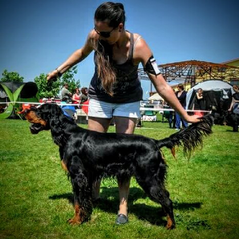 Absolute Hunter Dark House of Gordons