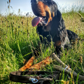 Tréning šúlačka a stopa