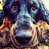 Moja ♥