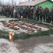 polovacka na bazanty 75 ks