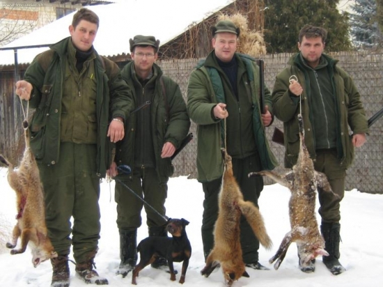 úspešná norovačka