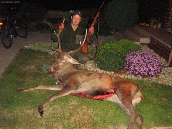 Jeleň z Cikolášu dotroubil.