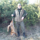 lišiačik