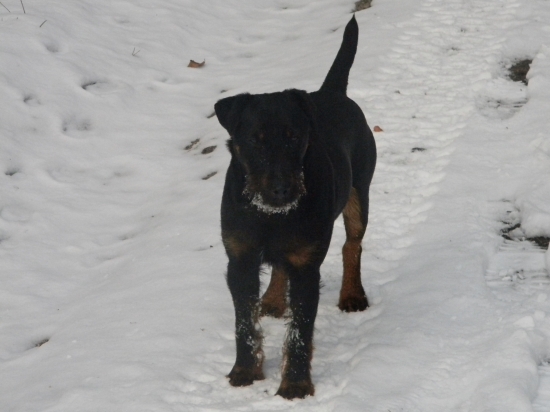 Boss z Lednickej doliny 8 mesiacov