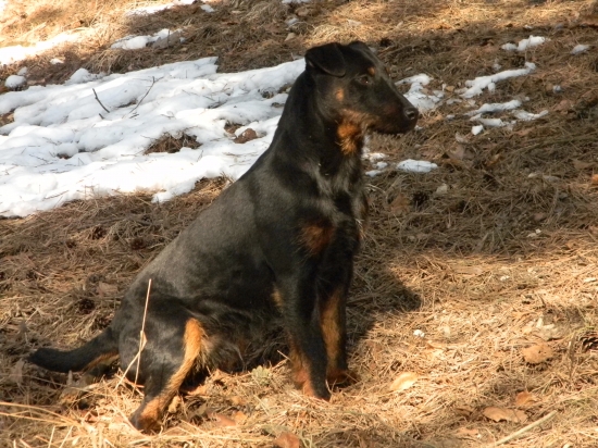 boss z Lednickej doliny 9 mesiacov
