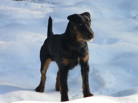 boss z Lednickej doliny 9 mesiacov