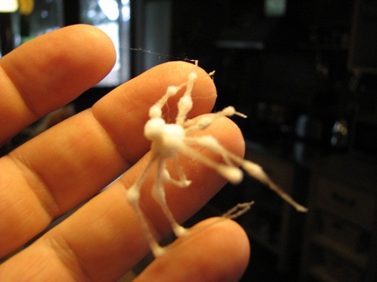 Vie niekto, co je to?