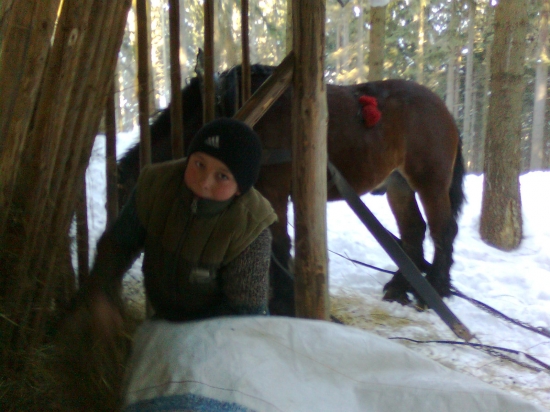 v zlich casoch treba zveri pomahat