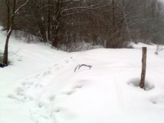 ked srdiečko podskoči :D