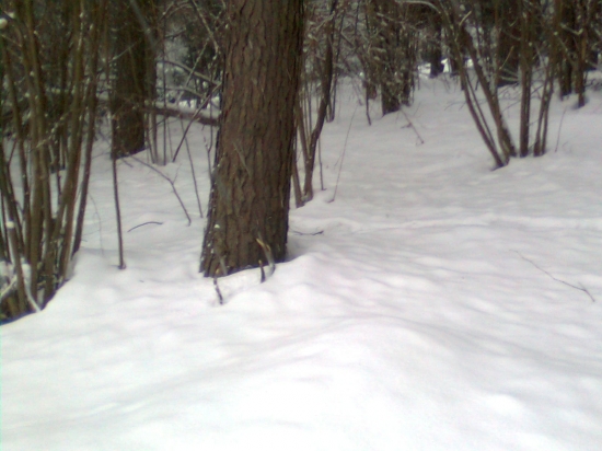 ked srdiecko podskoci - do pary :D