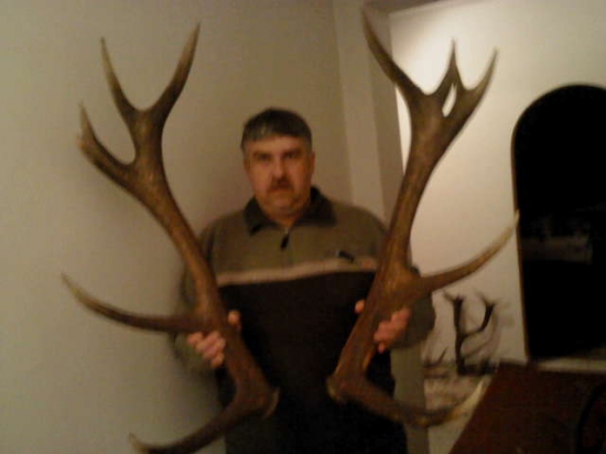 srašie druha para stoho isteho jelena