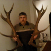 srašie druha para stoho isteho jelena