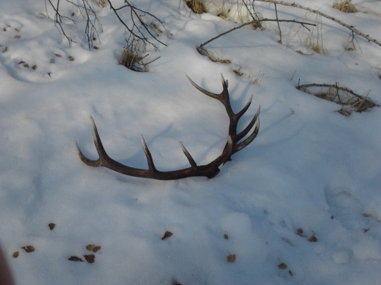 Ležali tam od minulého roka