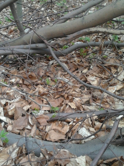 predo mnou sa neschováš :)