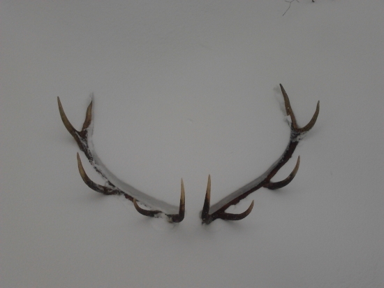 Tradičný Veľký piatok.