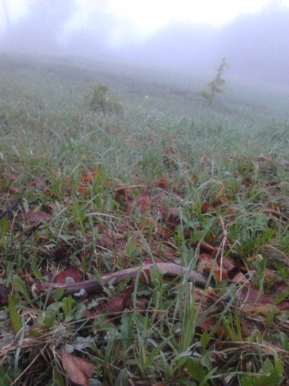 V deň mojich 45 narodenín.