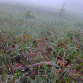 V deň mojich 45 narodenín.