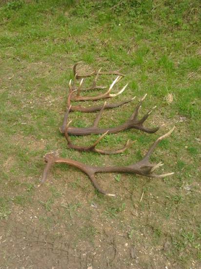 Deň po 45 narodeninách.