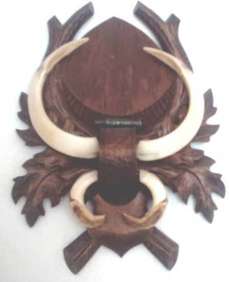kanček - bronz