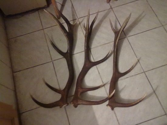 Zhody r.2011 - Zhod r.2010 iný pohľad