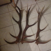 Zhody r.2011 - Zhod r.2010 iný pohľad