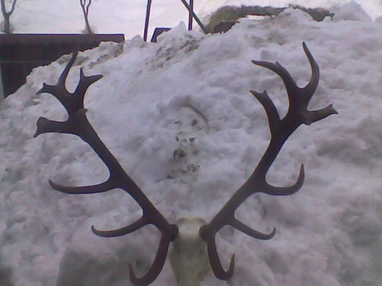 Štyriadvadsaťtorák