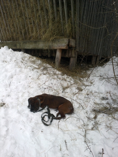 Oddych po doplnení krmelca