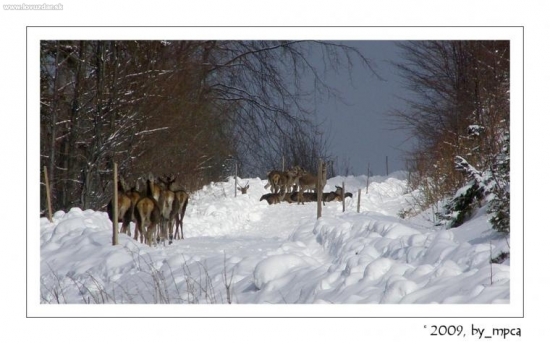 Ešte aj tu nás musí otravovať :)