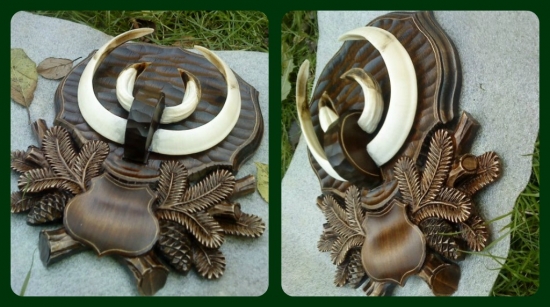 Podložka pod diviačiu trofej