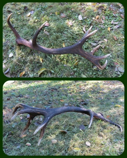 ...len nedávno nájdený...