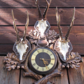 ..moje prvé hodiny...