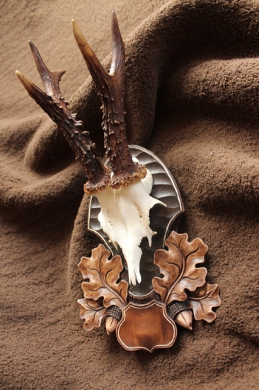 ...pekne perlovaný srnec...