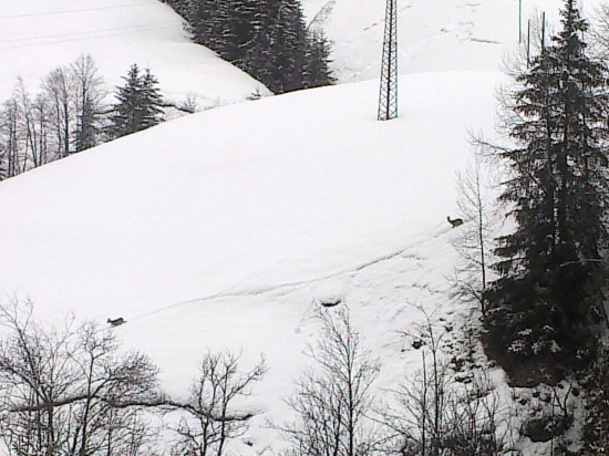 Pohľad z môjho okna...