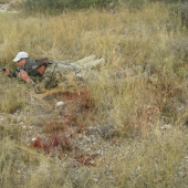 Afrika 2009