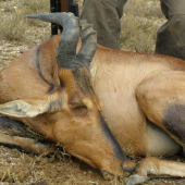 Afrika 2009